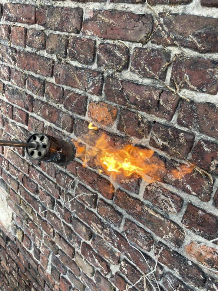 Traitement et décontamination du support Côte d'Opale