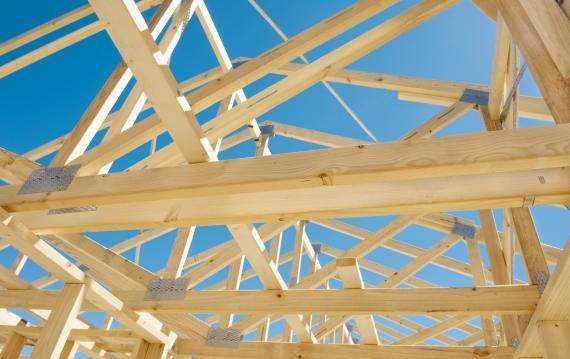 shutterstock 91630553 1359493339